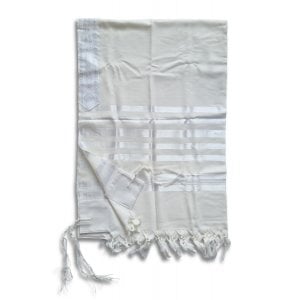 Silver Plated Tallit Prayer Shawl Clips - Tablets, Lions and Star