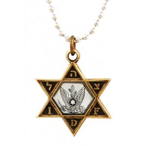 Necklace, IDF Star of David Bronze Pendant and Air Force Emblem - Ball Chain