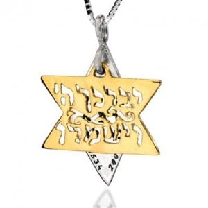 HaAri Jewelry Kohen Blessing Star of David Two-Tone Pendant 9K Gold & Sterling Silver