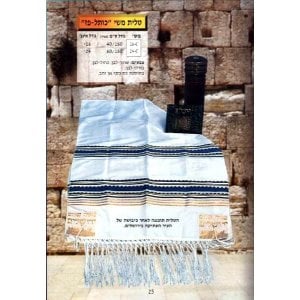 Kotel Paz Silk Tallit