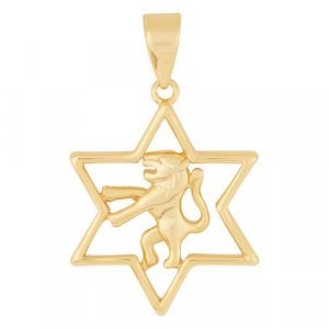 Gold Filled Lion of Judah Star of David Pendant