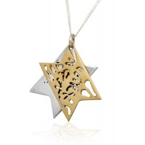 HaAri Jewelry Shema Yisrael Star of David Two-Tone Pendant 9K Gold & Sterling Silver