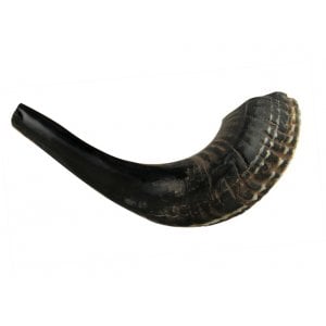 Small Black Rams Horn Shofar - Natural