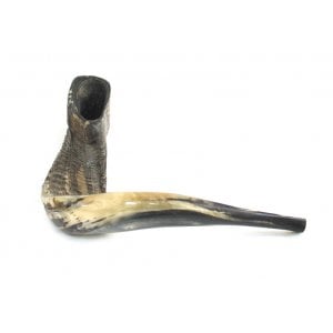 Extra Large Rams Horn Shofar with Dark Shades - Natural Finish