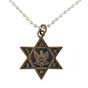 Israel Air Force Star of David Bronze Pendant