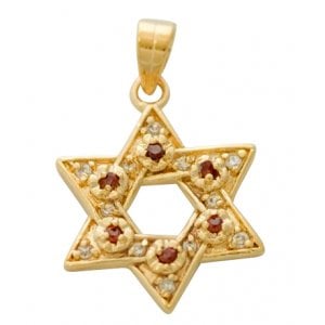 Gold Filled Star of David Garnet Pendant