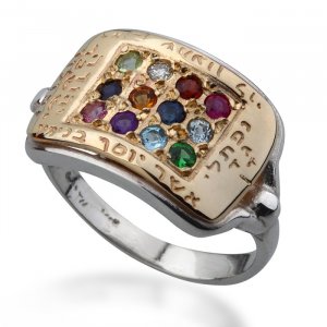 Hoshen Set Ring by HaAri
