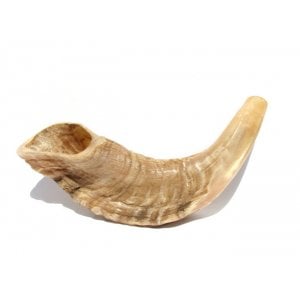 Small Rams Horn Shofar Natural Finish