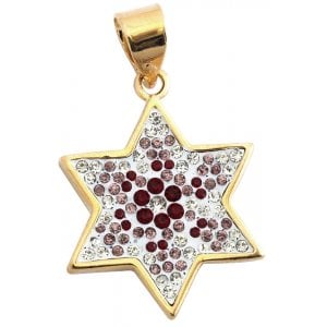 Ruby and Zircon Star of David Pendant