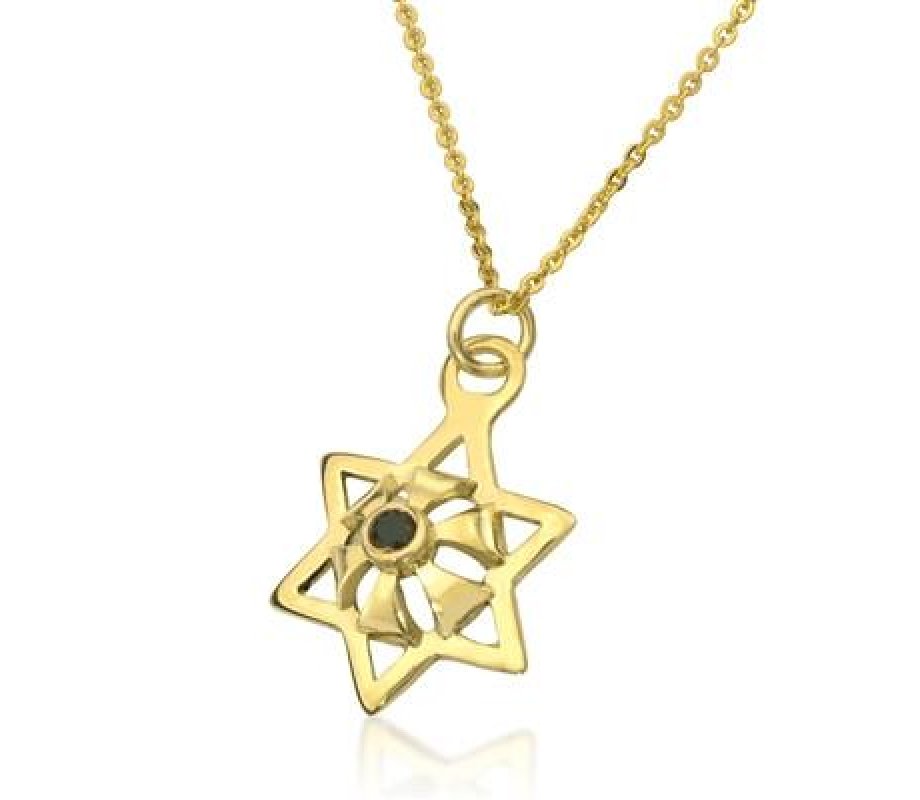 9k Gold Kabbalah Pendant Star of Plenty, with Black Diamond By HaAri Jewelry