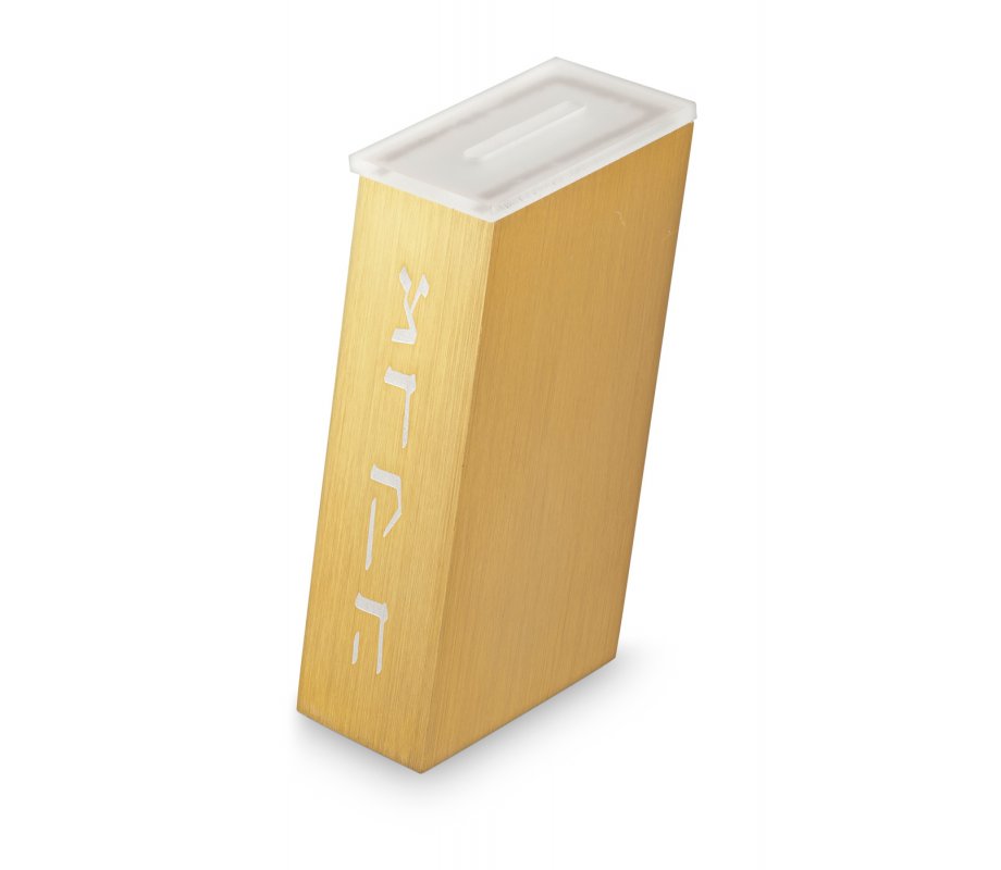 Adi Sidler Contemporary Brushed Aluminum Tzedakah Charity Box - Gold
