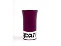 Agayof Aluminum Havdalah Set Modern Design - Purple