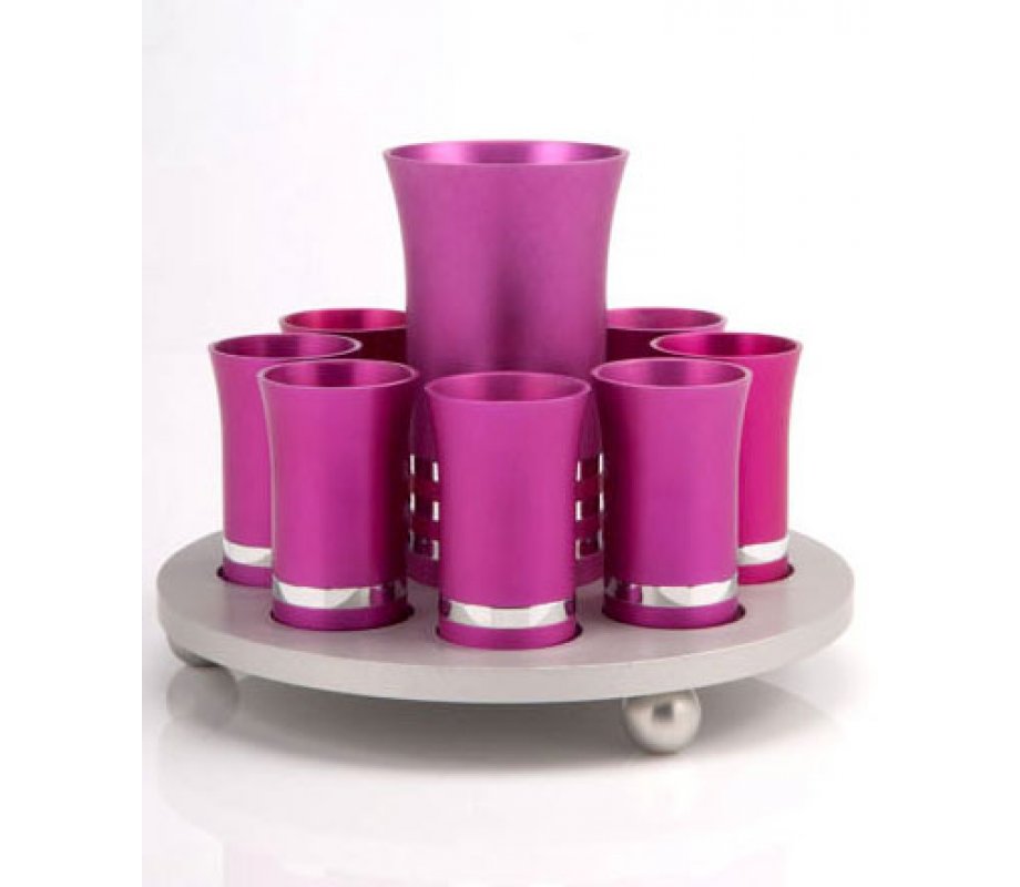 Agayof Kiddush Cup Set in Hot Pink and Silver Colors