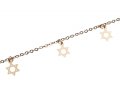 Anklet - Gold Rhodium with Gold Stars of David