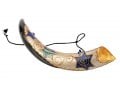 Anointing Painted Yemenite Shofar - Star of David