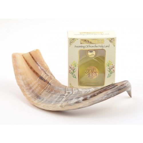 Anointing Shofar Made of a Natural Ram's Horn + Galilee Anointing Oil Frankincense and Myrrh