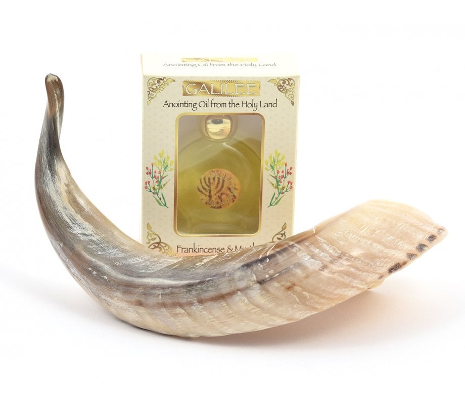 Anointing Shofar Made of a Natural Ram's Horn + Galilee Anointing Oil Frankincense and Myrrh