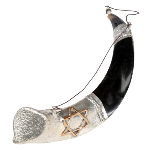 Anointing Sterling Silver Yemenite Shofar - Star of David