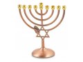 Bronze Color Chanukah Menorah with Star of David and Leaf Design - 7 Inches