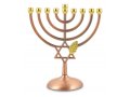 Bronze Color Chanukah Menorah with Star of David and Leaf Design - 7 Inches