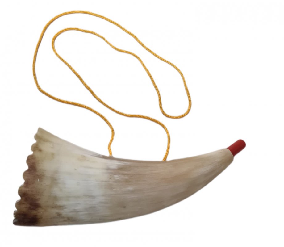 Childrens Real Sheep Horn Shofar with Plastic Mouthpiece