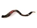 Collectors Hand Painted Yemenite Shofar - Dark Seven Species