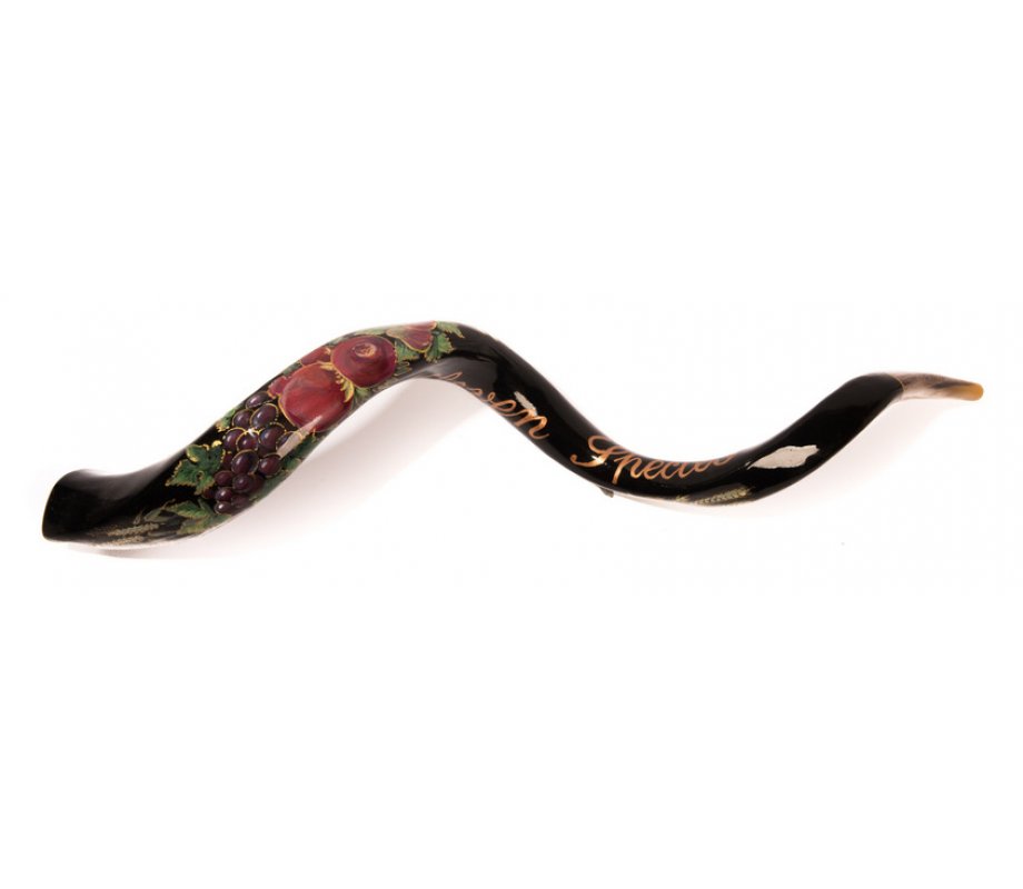 Collectors Hand Painted Yemenite Shofar - Dark Seven Species