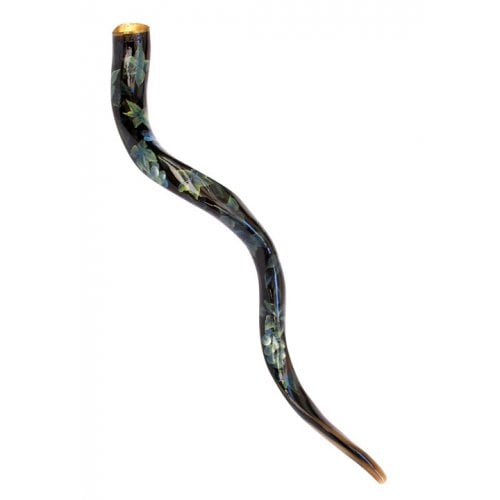 Collectors Hand Painted Yemenite Shofar - Grapevine