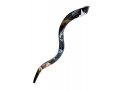 Collectors Hand Painted Yemenite Shofar - Noah's Ark