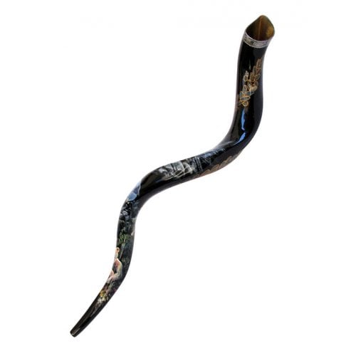 Collectors Hand Painted Yemenite Shofar - Noah's Ark