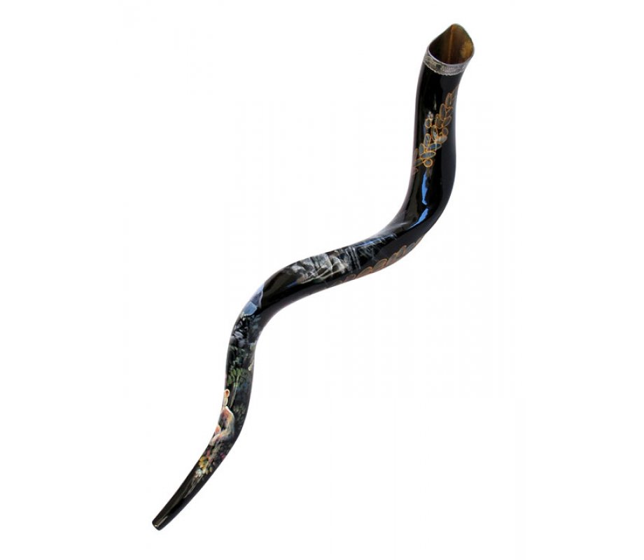 Collectors Hand Painted Yemenite Shofar - Noah's Ark
