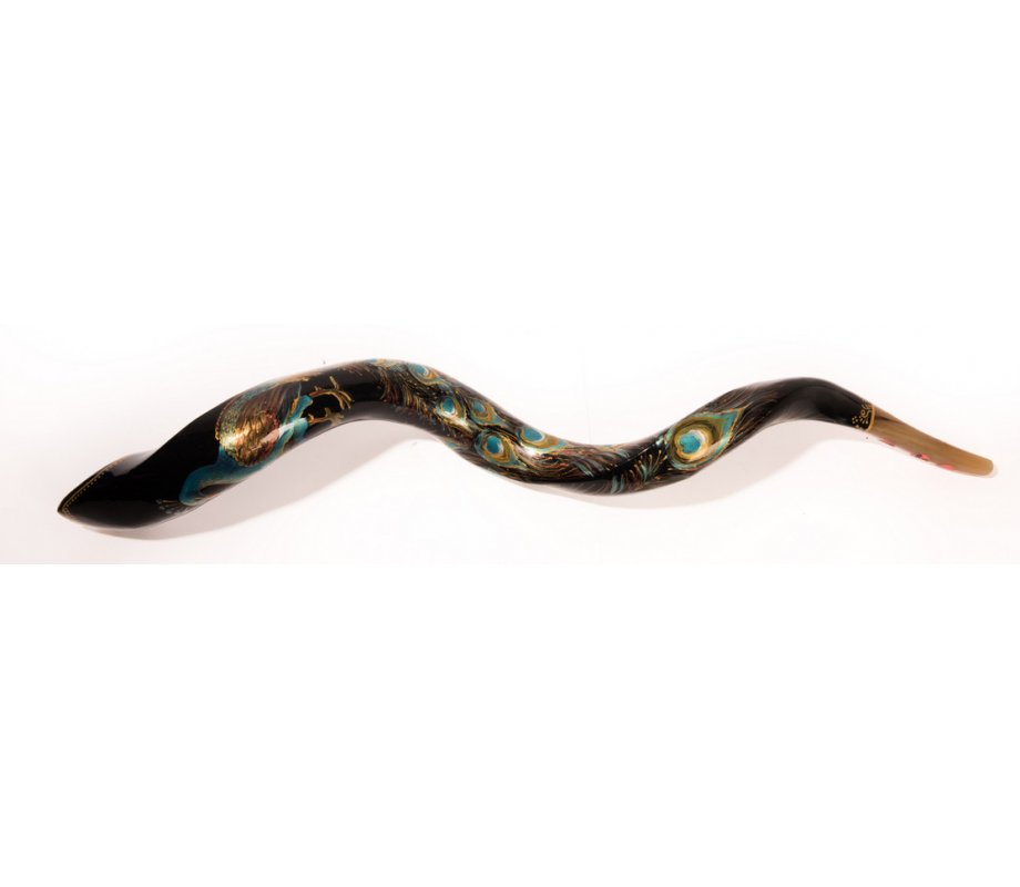 Collectors Hand Painted Yemenite Shofar - Peacock