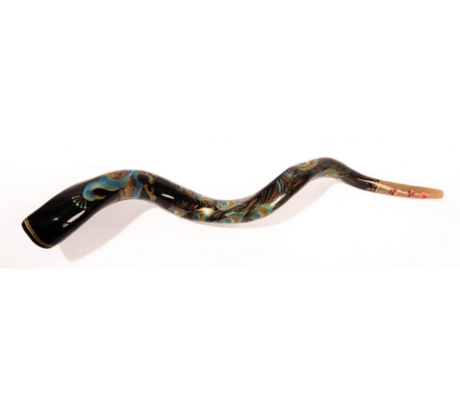 Collectors Hand Painted Yemenite Shofar - Peacock