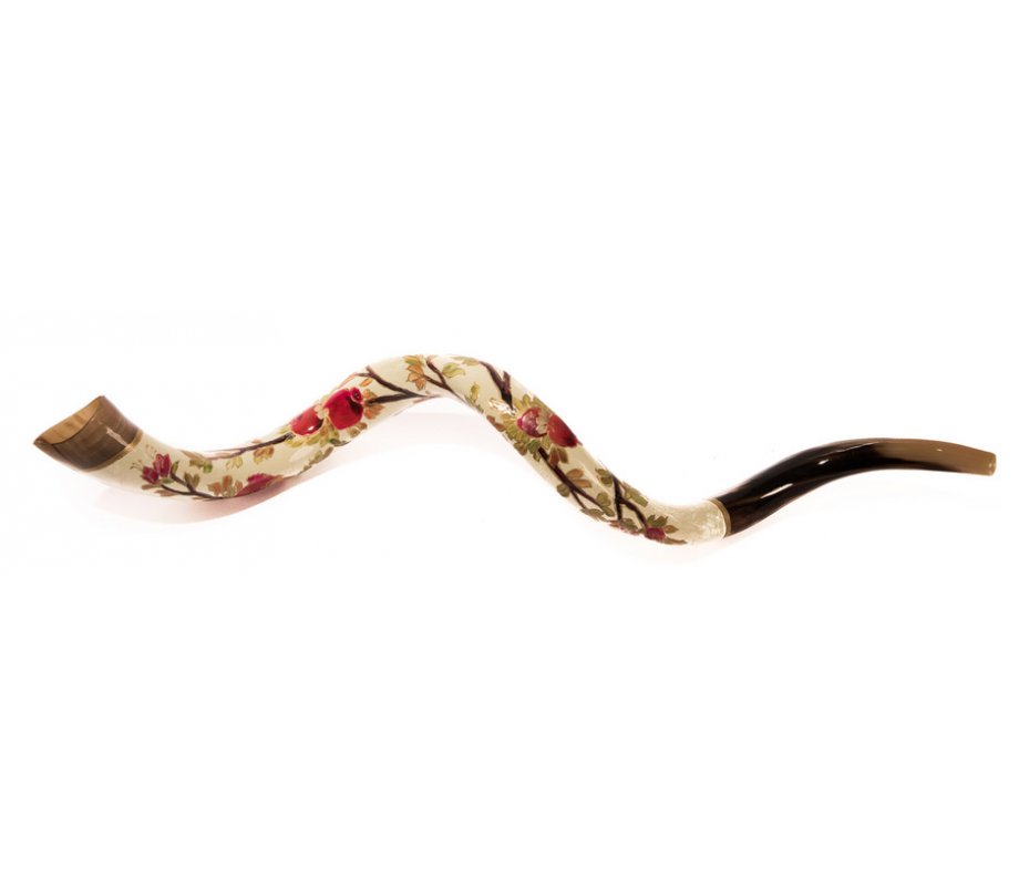Collectors Hand Painted Yemenite Shofar - Pomegranate on White