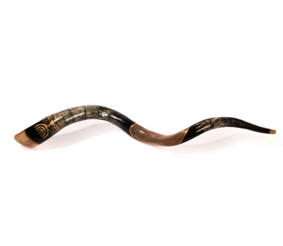Collectors Hand Painted Yemenite Shofar - Western Wall