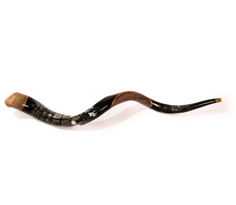 Collectors Hand Painted Yemenite Shofar - Western Wall