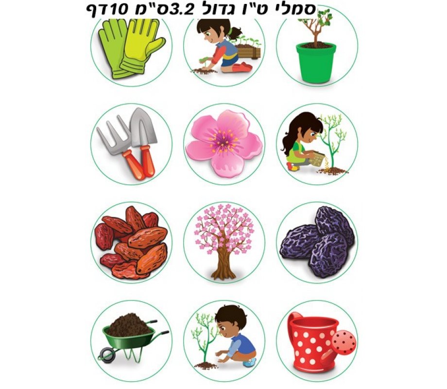 Colorful Stickers for Children - Tu BiShvat Activiity Stickers