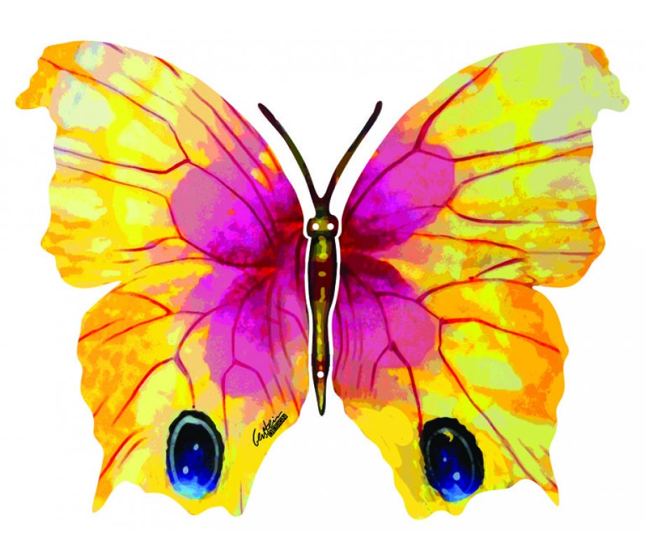 David Gerstein Double Sided Steel Wall Sculpture - Ruth Butterfly