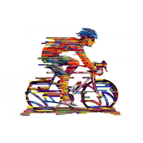 David Gerstein Free Standing Double Sided Bicycle Sculpture - Champion