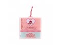 Dorit Judaica Lucite Wall Plaque with Baby Girl Blessings  Pink and Blue