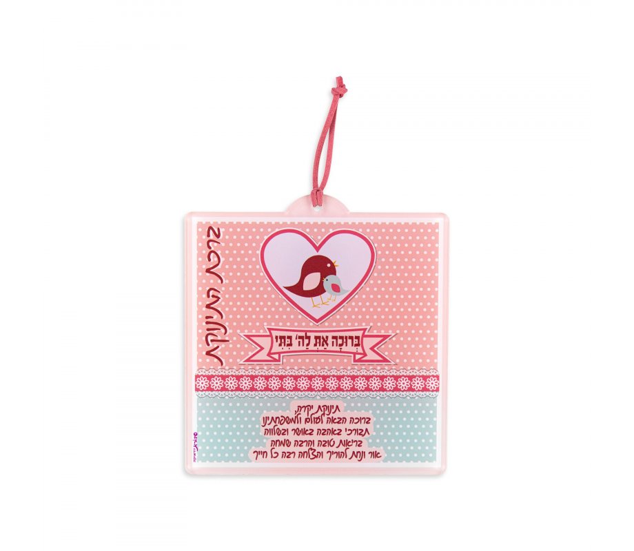 Dorit Judaica Lucite Wall Plaque with Baby Girl Blessings – Pink and Blue