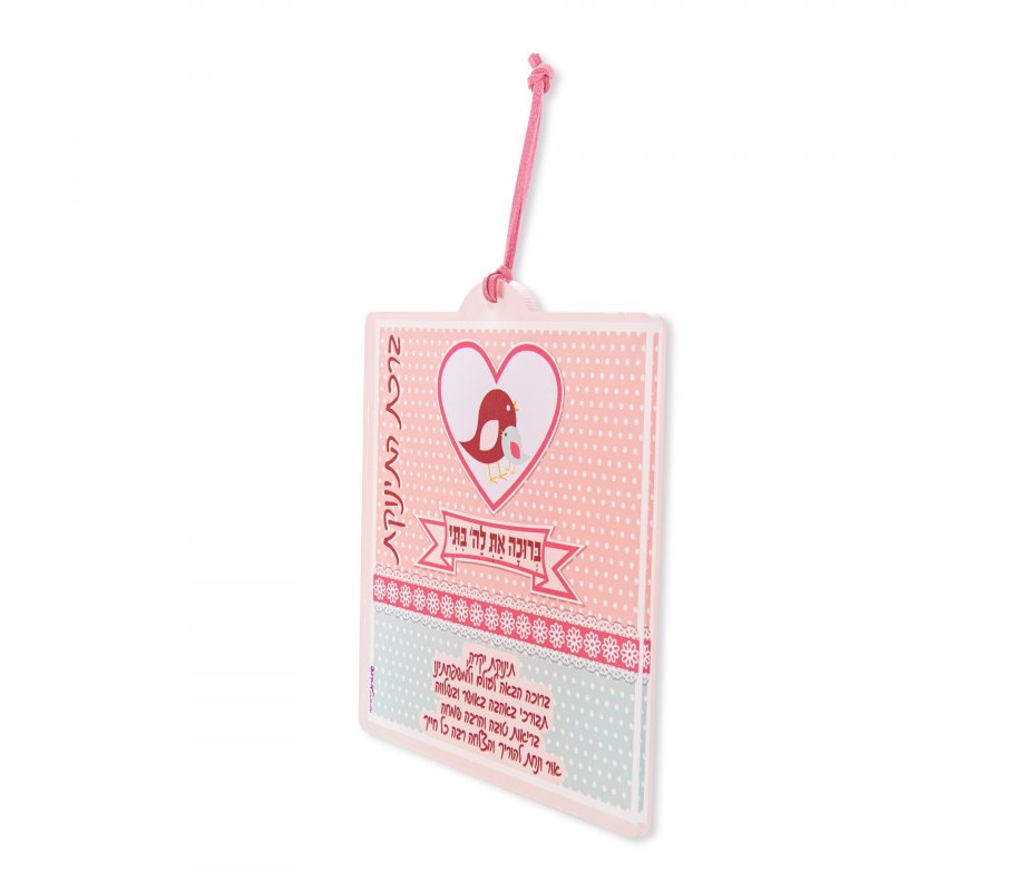 Dorit Judaica Lucite Wall Plaque with Baby Girl Blessings – Pink and Blue