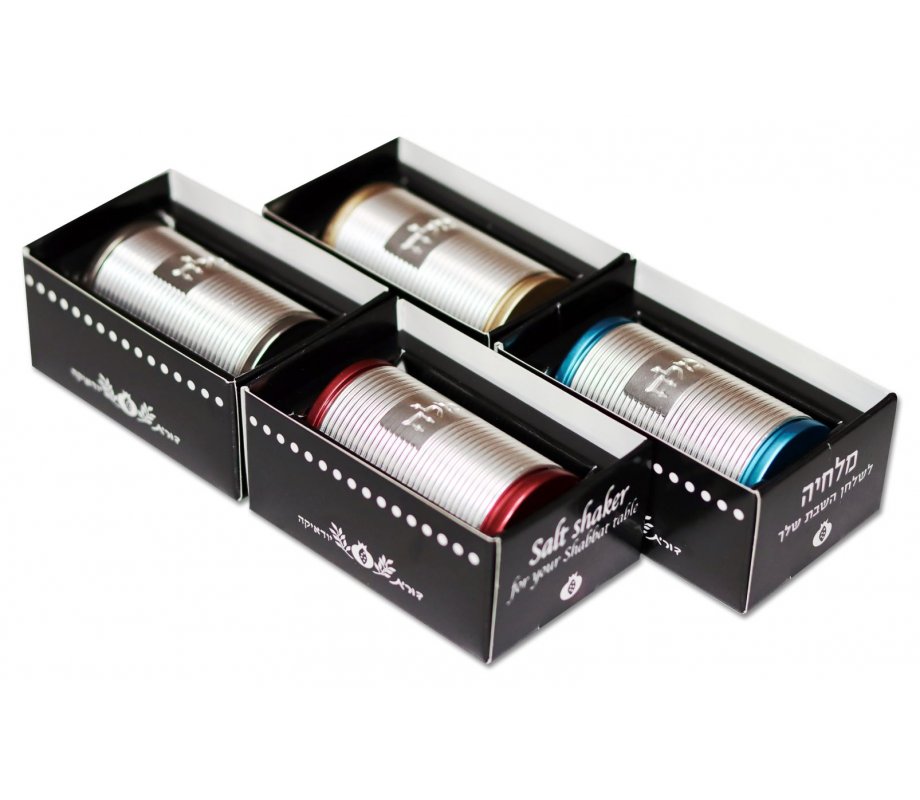 Dorit Judaica Spiral Design Salt Shaker with Hebrew Plaque - Silver and Maroon