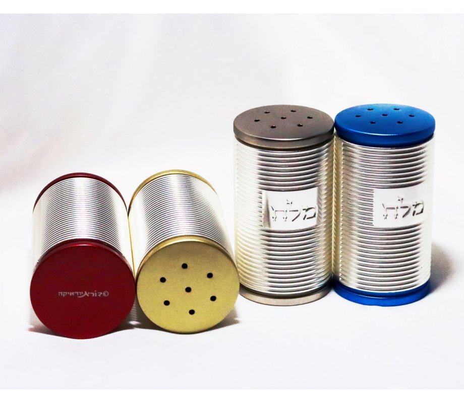 Dorit Judaica Spiral Design Salt Shaker with Hebrew Plaque - Silver and Turquoise