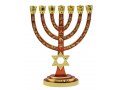 Enamel Plated 7-Branch Menorah with Gold Judaic Decorations - Red
