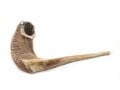 Extra Large Natural Rams Horn Shofar