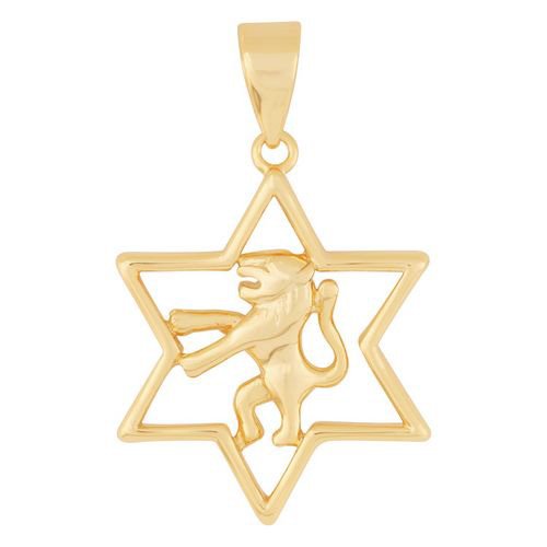 Gold Filled Lion of Judah Star of David Pendant
