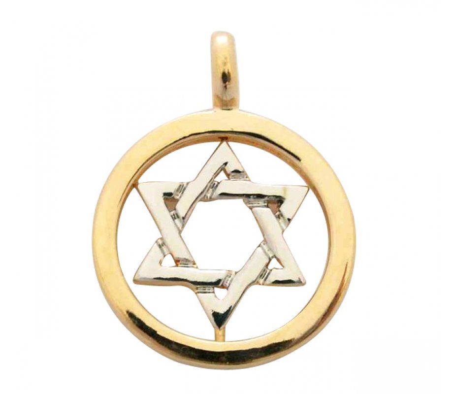 Gold Filled Pendant, Two Tone Star of David Pendant in Circle