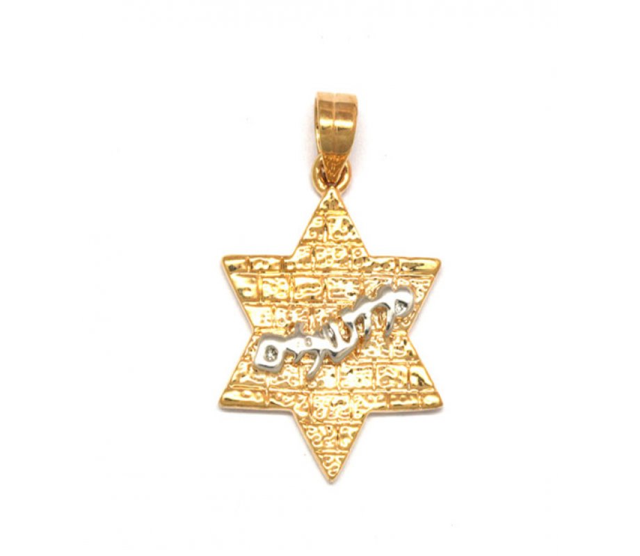 Gold Filled Western Wall Pendant - Star of David
