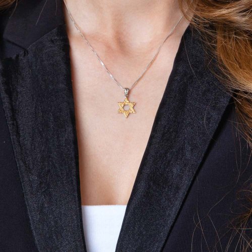 Gold Plated Sterling Silver Pendant Necklace - Textured Star of David